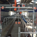 Boumatic 50 Degree With GMi Plus 1
